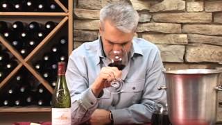 Chateauneuf du Pape 2010 Andre Brunel [upl. by Horsey]