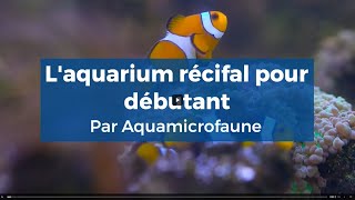 Laquarium récifal pour débutant [upl. by Telracs639]