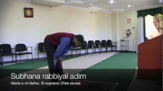 Como realizar Salat Magrib [upl. by Ed]