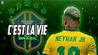 Neymar Jr • Cest La Vie  Cheb Khaled  Brazil  Skills and Goals  HD [upl. by Almira305]