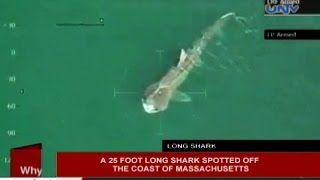 A 25foot long shark spotted off the coast of Massachusetts [upl. by Crenshaw]