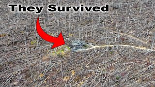 STAND TALL  Hurricane HELENE Demolishes Forest around Family in Asheville NC [upl. by Abih228]