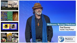 Paul Stamets Mycology and Mushrooms as Medicines [upl. by Pownall]