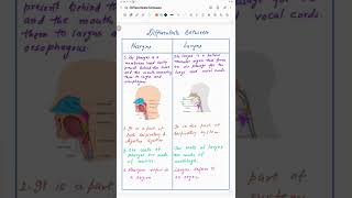 DIFFERENCES BETWEEN PHARYNX AND LARNYNX  CLASS X  CBSE  NCERT  shorts edumantra [upl. by Enirac446]