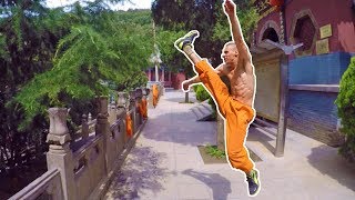 Three months LEARNING SHAOLIN KUNGFU [upl. by Aihcats]