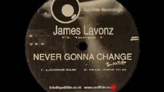 James Lavonz featuring Tanya T  Never Gonna Change Lavonz Dub [upl. by Sharline]