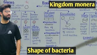 Shape of bacteria  Coccus Bacillus And Spiral  Class 11 Biology [upl. by Ades94]