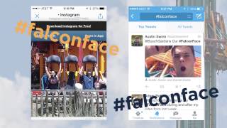 Show us your falconface  Busch Gardens Tampa FL [upl. by Kantor668]