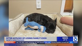 LA couple asks for community help after Rover sitter loses dog [upl. by Floris652]