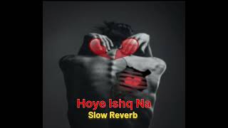 Hoye Ishq Na  Slow Reverb  Sad Song [upl. by Aysan]