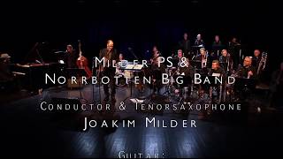 Nightingales  Milder PS with Norrbotten Big Band [upl. by Garrot]