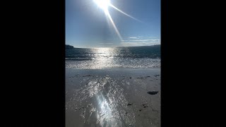 Happy Veterans Day At the beach 🏖️ beach maine november [upl. by Ophelie983]