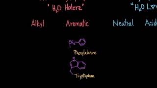 Classification of Amino Acids [upl. by Libby]