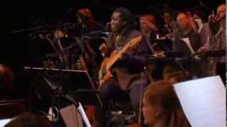 Please Dont Stop  Richard Bona and Metropole Orkest 2013 [upl. by Vaclava]