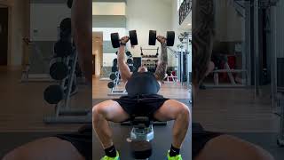 Incline chest press is arguably one of the best exercises to build your pecs and shoulders fitness [upl. by Perren244]