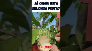 Já comeu esta deliciosa fruta ATEMOIA  Híbrido entre a pinha e a cherimoia Annona Squamosa [upl. by Eanel]