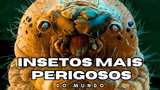 Os 10 Insetos Mais Perigosos do Mundo [upl. by Nonad]