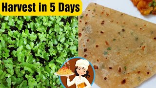 Microgreens Chapati Recipe In Tamil  Keerai Chapathi மைக்ரோகிரீன்ஸ் கீரை சப்பாத்தி [upl. by Lleynad]