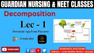 Biology Decomposition Lec – 1 [upl. by Ayle]