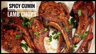 Spicy Cumin Lamb Chops [upl. by Kirst]