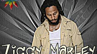 Ziggy Marley  Dreams Of Home [upl. by Lazaro]