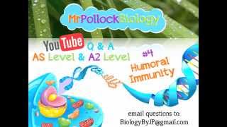 MrPollockBiology QampA 4 Humoral Immunity [upl. by Rori]