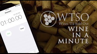 WTSO Wine In A Minute Fattoria La Magia Brunello 2011 [upl. by Burnie963]