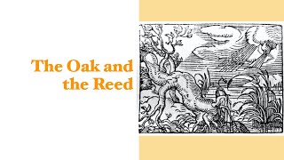 The Oak and the Reed [upl. by Olimpia]