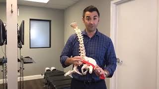 How to heal Piriformis syndrome quickly Chiropractor  BrentwoodSt Louis [upl. by Morganica]