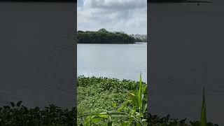 Most beautiful lake view  Ulsoor Lake Bangalore [upl. by Legin23]