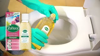 THE 5 MINUTE DEEP CLEAN FOR YOUR TOILET  Disinfect the loo with Zoflora [upl. by Udell344]