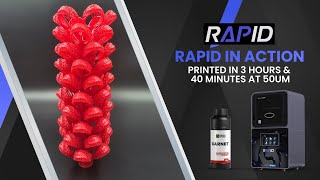 Rapid DLP Jewelry Resin Printer Printing Casting Trees in 3 Hours with ProtoResins Garnet [upl. by Herminia]