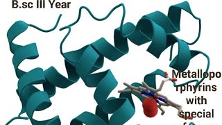 Metalloporphyrins with special reference to Hb and Mb [upl. by Hoffman898]