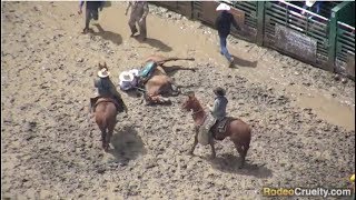 Horses Abused at 2019 Rowell Ranch Rodeo [upl. by Hedvig155]