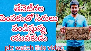 profitable honey bee farmingతేనెటీగల పెంపకంతో లక్షల ఆదాయంsmall business ideas [upl. by Agem]