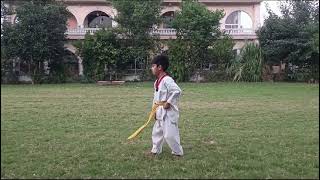 Name  Ali Mehdi Poomsae  Ell jang 1st form  Age Category  Under 10 Years [upl. by Aliuqahs]