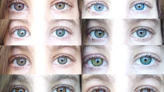 Color Contacts All 12 Freshlooks Color Contact Lenses [upl. by Guntar]