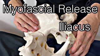 How to do myofascial release for iliacus English [upl. by Dorej]