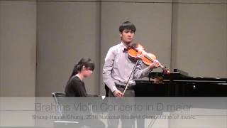 Brahms Violin Concerto in D Major Mov1 [upl. by Katusha]