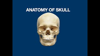 Anatomy of Skull  Bone amp Suture of Skull [upl. by Kcin]