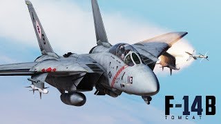 DCS F14 by Heatblur Simulations Available for PrePurchase [upl. by Bendick]