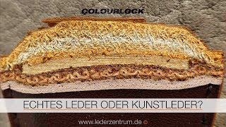 ECHTES LEDER ODER KUNSTLEDER  COLOURLOCK [upl. by Aihk]