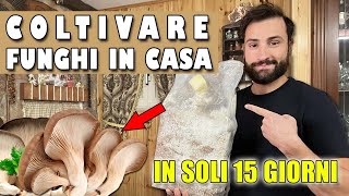 COLTIVARE FUNGHI IN CASA  IN SOLI 15 GIORNI 🍄 [upl. by Anauqahc]