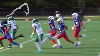 Youth Sports Coverage 12u Collins Hill Eagles Vs PeachTree Ridge Lions Playoffs [upl. by Haliehs]