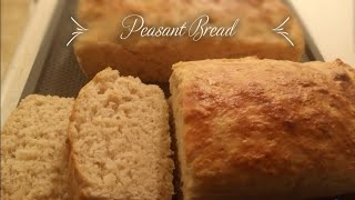 Easy Peasant Bread [upl. by Zul]