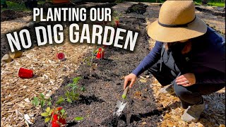 PLANTING OUR NO DIG GARDEN  TOMATOES CORN LOOFAH PEAS BEANS amp MORE [upl. by Ossie]