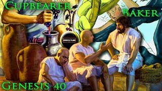 Joseph interprets the Cupbearer and the Baker dreams  Genesis 40  Egypt  Pharaoh  Prison [upl. by Irah]