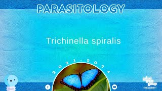 L1part 1 Trichinella spiralis  parasitology [upl. by Egrog]