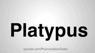 How to Pronounce Platypus [upl. by Cissiee307]