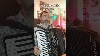 Luccellino della Comare  Folk Song Italian accordeon musica music fisarmonicista [upl. by Allare]